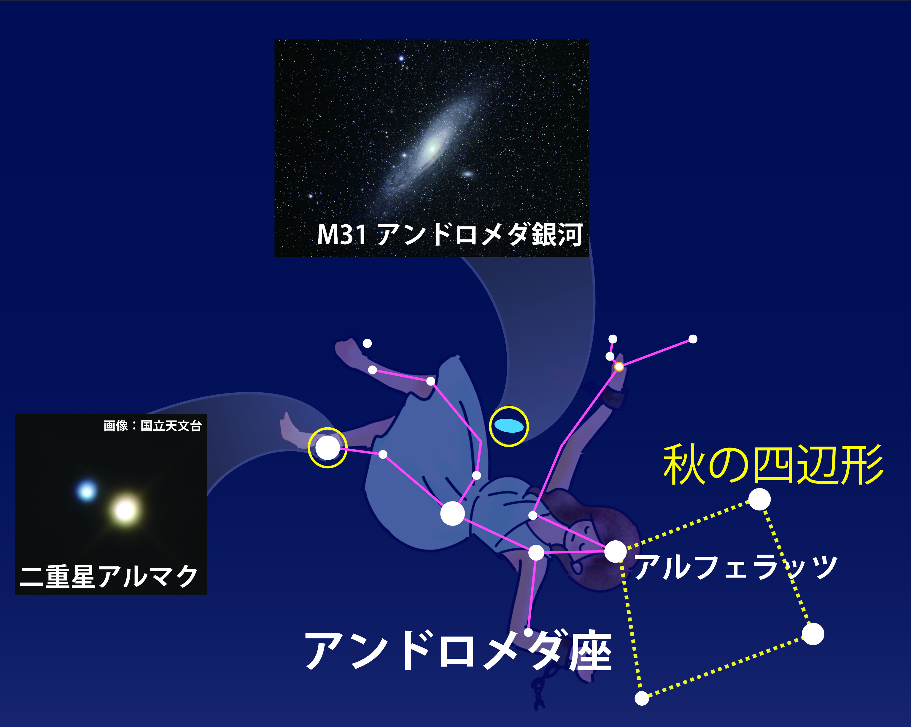 星座のおはなし　挿絵　奥塚調整.jpg