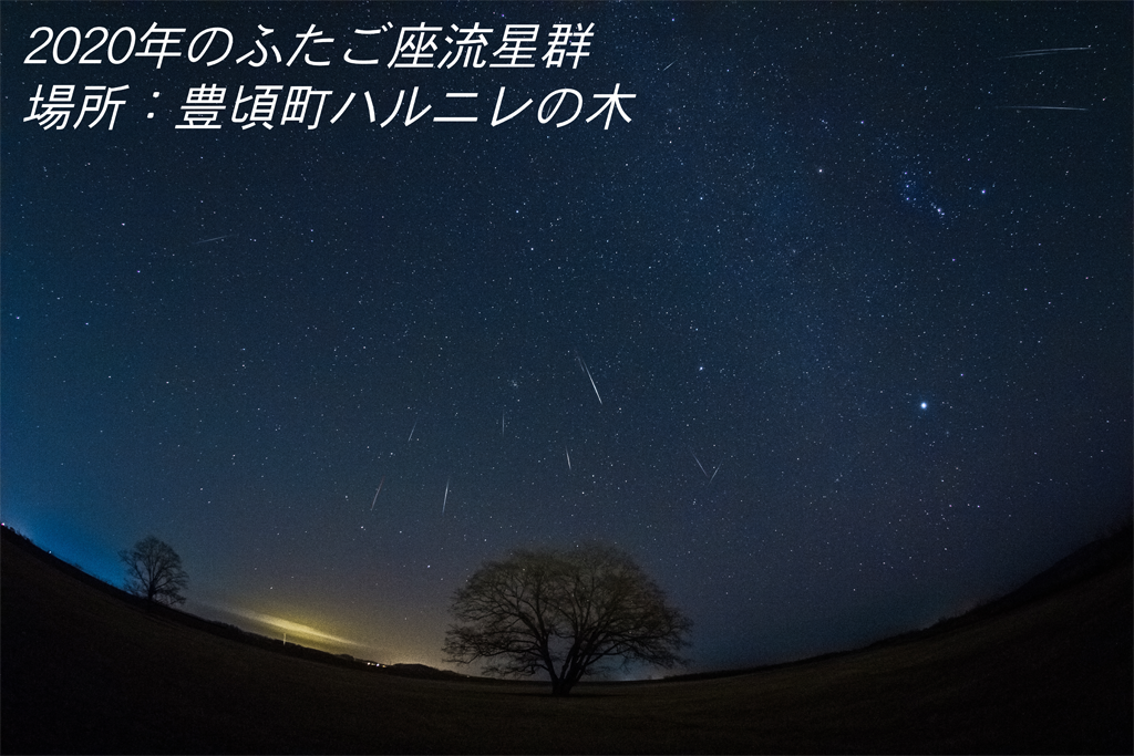 2020ふたご座流星群%40ハルニレの木_合成_文字入り.png
