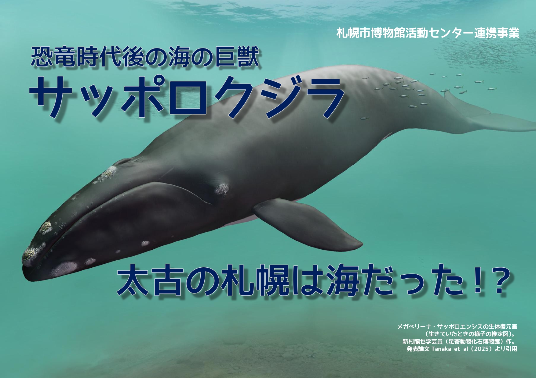 「サッポロクジラ」のチラシ.jpg