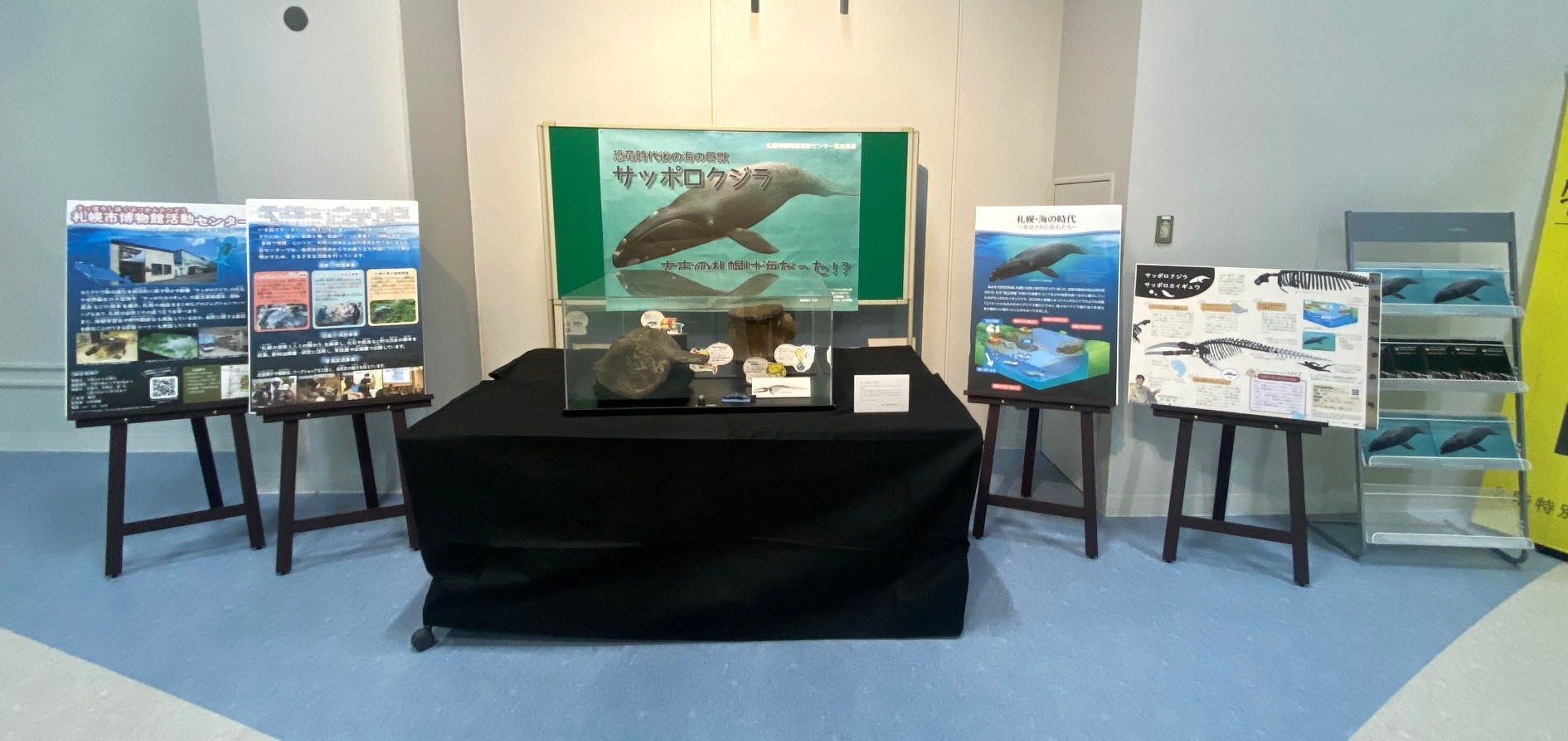 「サッポロクジラ」の展示.jpeg