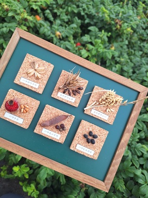 石狩浜海浜植物保護センター マグネット画像