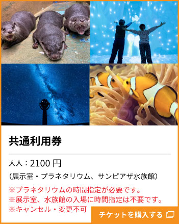 共通利用券