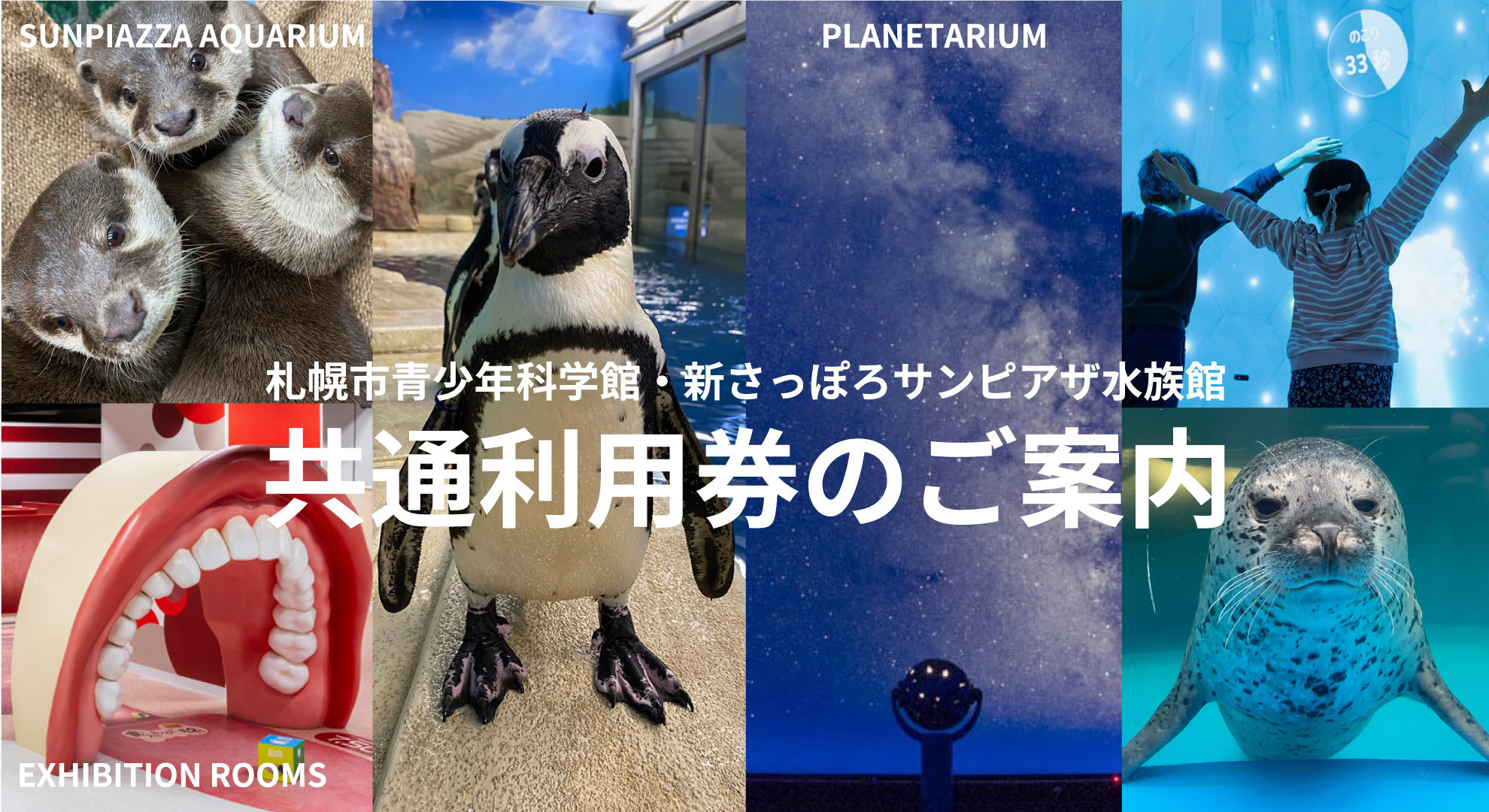 共通利用券