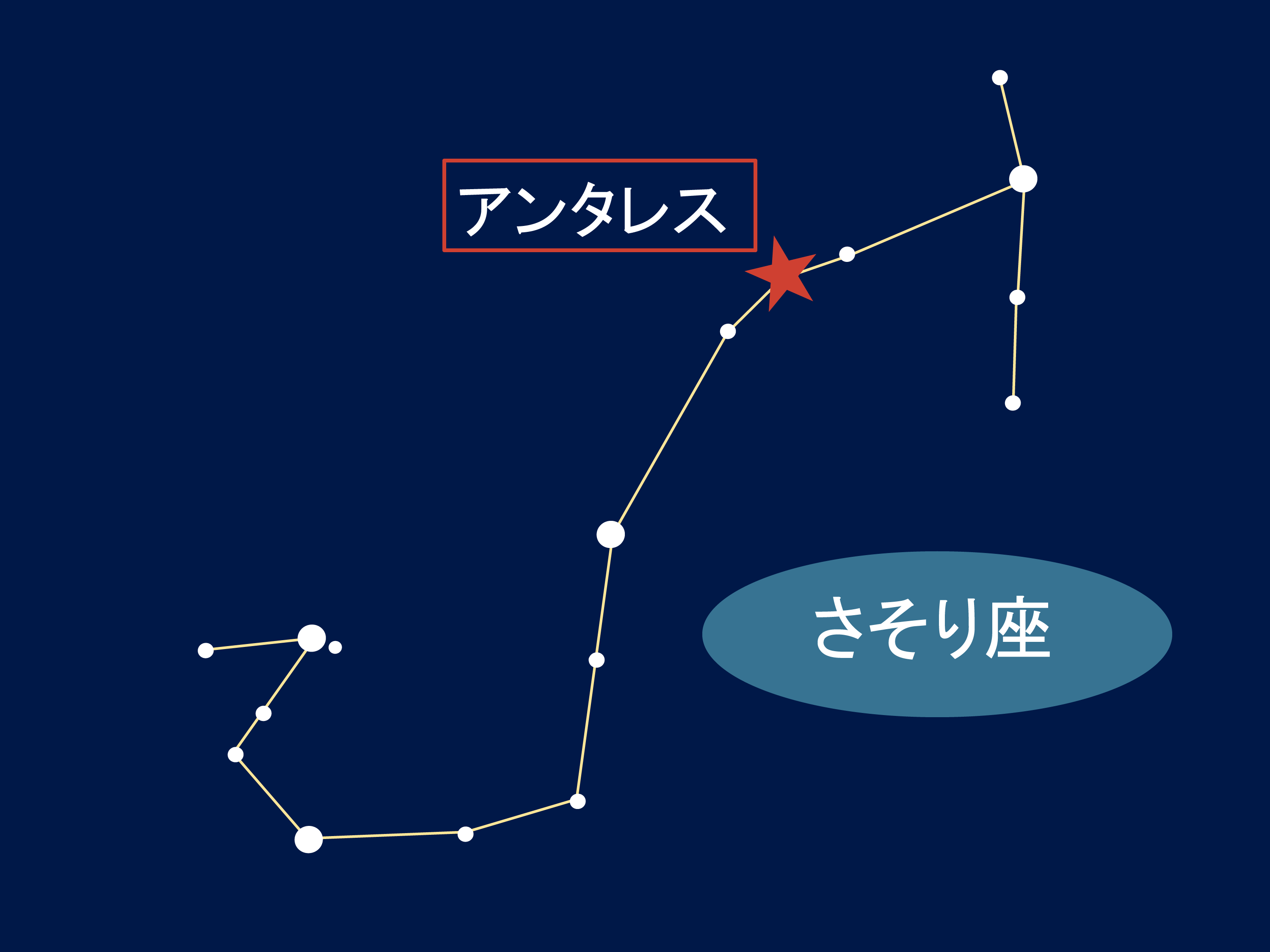 2024年7～8月の星空|今月の星空紹介 | 札幌市青少年科学館